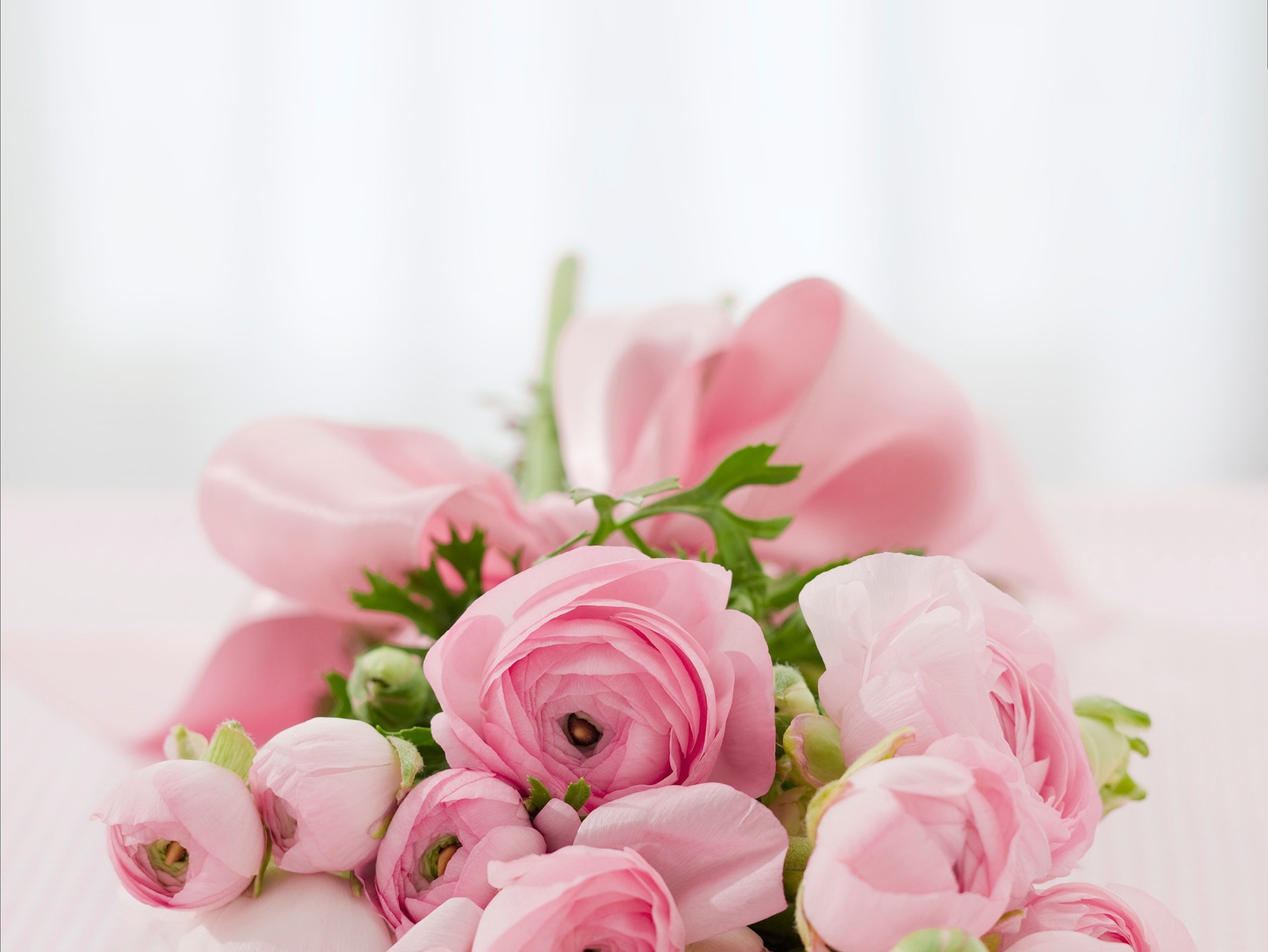 Bouquet de fleurs