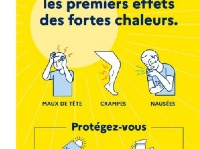 Affiche canicule